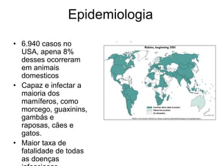 Epidemiologia6.940 casos no USA, apena 8% desses ocorreram em animais domesticosCapaz e infectar a maioria dos mamíferos, como morcego, guaxinins, gambás e raposas, cães e gatos.Maior taxa de fatalidade de todas as doenças infecciosas