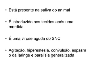 Está presente na saliva do animal É introduzido nos tecidos após uma mordidaÉ uma virose aguda do SNCAgitação, hiperestesia, convulsão, espasmo da laringe e paralisia generalizada