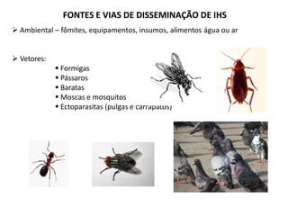 FONTES E VIAS DE DISSEMINAÇÃO DE IHS
 Ambiental – fômites, equipamentos, insumos, alimentos água ou ar
 Vetores:
 Formigas
 Pássaros
 Baratas
 Moscas e mosquitos
 Ectoparasitas (pulgas e carrapatos)
 