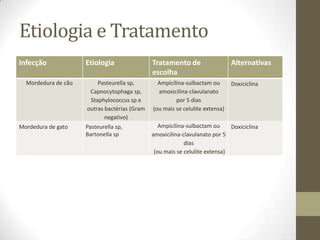 Etiologia e Tratamento
Infecção             Etiologia                Tratamento de                   Alternativas
                                              escolha
  Mordedura de cão       Pasteurella sp,        Ampicilina-sulbactam ou       Doxiciclina
                      Capnocytophaga sp,        amoxicilina-clavulanato
                      Staphylococcus sp e              por 5 dias
                     outras bactérias (Gram   (ou mais se celulite extensa)
                            negativo)
Mordedura de gato    Pasteurella sp,             Ampicilina-sulbactam ou     Doxiciclina
                     Bartonella sp            amoxicilina-clavulanato por 5
                                                           dias
                                               (ou mais se celulite extensa)
 