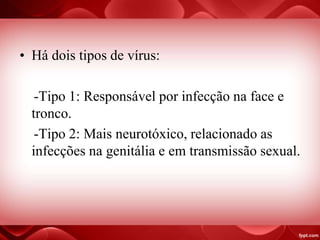 • Há dois tipos de vírus:
-Tipo 1: Responsável por infecção na face e
tronco.
-Tipo 2: Mais neurotóxico, relacionado as
infecções na genitália e em transmissão sexual.
 