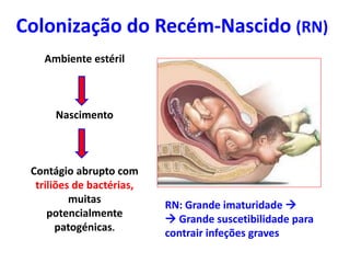 Colonização do Recém-Nascido (RN)
RN: Grande imaturidade 
 Grande suscetibilidade para
contrair infeções graves
Ambiente estéril
Nascimento
Contágio abrupto com
triliões de bactérias,
muitas
potencialmente
patogénicas.
 