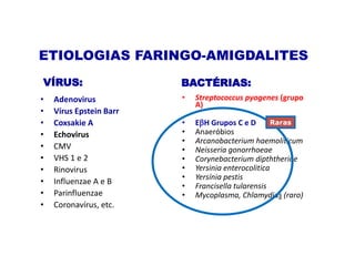 • Adenovirus
• Vírus Epstein Barr
• Coxsakie A
• Echovirus
• CMV
• VHS 1 e 2
• Rinovirus
• Influenzae A e B
• Parinfluenzae
• Coronavírus, etc.
• Streptococcus pyogenes (grupo
A)
• EH Grupos C e D
• Anaeróbios
• Arcanobacterium haemoliticum
• Neisseria gonorrhoeae
• Corynebacterium dipththeriae
• Yersinia enterocolitica
• Yersínia pestis
• Francisella tularensis
• Mycoplasma, Chlamydias (raro)
ETIOLOGIAS FARINGO-AMIGDALITES
VÍRUS: BACTÉRIAS:
Raras
 