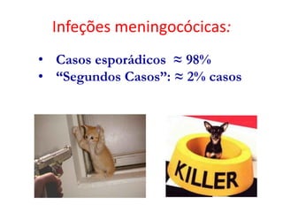 • Casos esporádicos ≈ 98%
• “Segundos Casos”: ≈ 2% casos
Infeções meningocócicas:
 