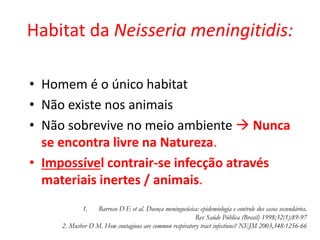 Habitat da Neisseria meningitidis:
1. Barroso D E et al. Doença meningocócica: epidemiologia e controle dos casos secundários.
Rev Saúde Pública (Brasil) 1998;32(1):89-97
2. Musher D M. How contagious are common respiratory tract infections? NEJM 2003,348:1256-66
• Homem é o único habitat
• Não existe nos animais
• Não sobrevive no meio ambiente  Nunca
se encontra livre na Natureza.
• Impossível contrair-se infecção através
materiais inertes / animais.
 