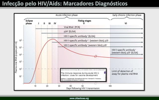 Infecção HIV Aids 2017
