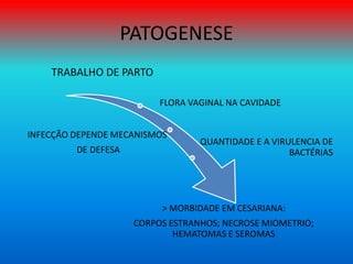 PATOGENESE
TRABALHO DE PARTO
FLORA VAGINAL NA CAVIDADE
INFECÇÃO DEPENDE MECANISMOS
DE DEFESA
QUANTIDADE E A VIRULENCIA DE
BACTÉRIAS
> MORBIDADE EM CESARIANA:
CORPOS ESTRANHOS; NECROSE MIOMETRIO;
HEMATOMAS E SEROMAS
 