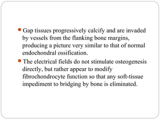 Gap tissues progressively calcify and are invaded
by vessels from the flanking bone margins,
producing a picture very similar to that of normal
endochondral ossification.
The electrical fields do not stimulate osteogenesis
directly, but rather appear to modify
fibrochondrocyte function so that any soft-tissue
impediment to bridging by bone is eliminated.
 