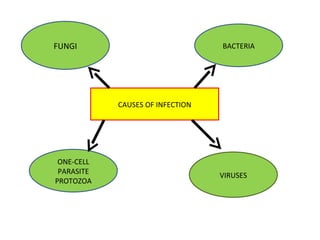 CAUSES OF INFECTION FUNGI ONE-CELL PARASITE PROTOZOA VIRUSES BACTERIA 