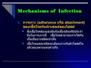 Adhesion Examples Infection Infection | PPT