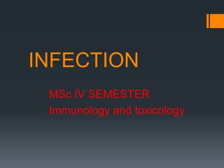 INFECTION
MSc IV SEMESTER
Immunology and toxicology
 