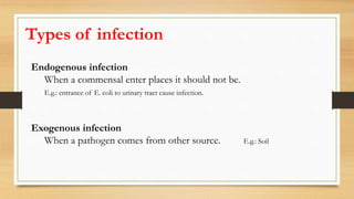 Infection | PPTX
