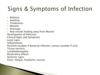  Redness
 Swelling
 Tenderness
 Warmth
 Drainage
 Red streaks leading away from Wound
Development of Infection:
Clinical Signs and Symptoms
Local signs
Inflammation
Purulent exudate if bacterial infection; serous exudate if viral
Tissue necrosis
Lymphadenopathy
Respiratory effects
Systemic signs
Fever, fatigue, headache, nausea
 