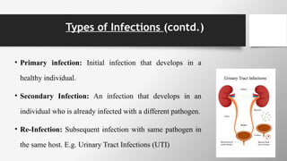 Infections: Types, Sources, Routes and Spread of Infectious diseases.pptx