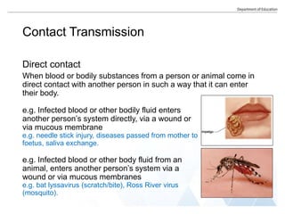 Contact Transmission
Direct contact
When blood or bodily substances from a person or animal come in
direct contact with another person in such a way that it can enter
their body.
e.g. Infected blood or other bodily fluid enters
another person’s system directly, via a wound or
via mucous membrane
e.g. needle stick injury, diseases passed from mother to
foetus, saliva exchange.
e.g. Infected blood or other body fluid from an
animal, enters another person’s system via a
wound or via mucous membranes
e.g. bat lyssavirus (scratch/bite), Ross River virus
(mosquito).
 