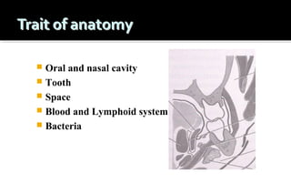 Oral and nasal cavity
 Tooth
 Space
 Blood and Lymphoid system
 Bacteria


 