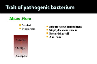 Micro Flora



Varied
Numerous

• Sterile
• Simple
• Complex






Streptococcus hemolyticus
Staphylococcus aureus
Escherichia coli
Anaerobe

 