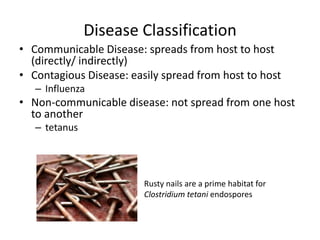 12 - Infection and Disease | PPTX