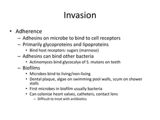 12 - Infection and Disease | PPTX