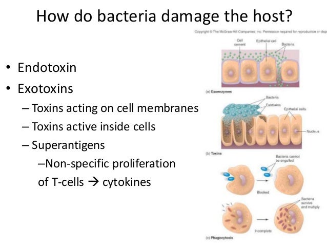 12 - Infection and Disease