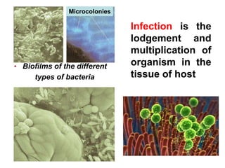 Infection is the
lodgement and
multiplication of
organism in the
tissue of host
Biofilms of the different
types of bacteri...