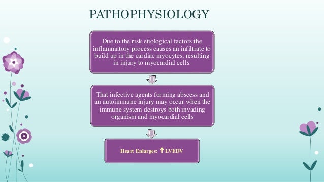 Infection and inflammation of heart includes endocarditis ...