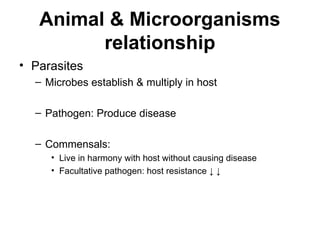 Pathogenic Animal infection_and_microbial_pathogenecity.ppt