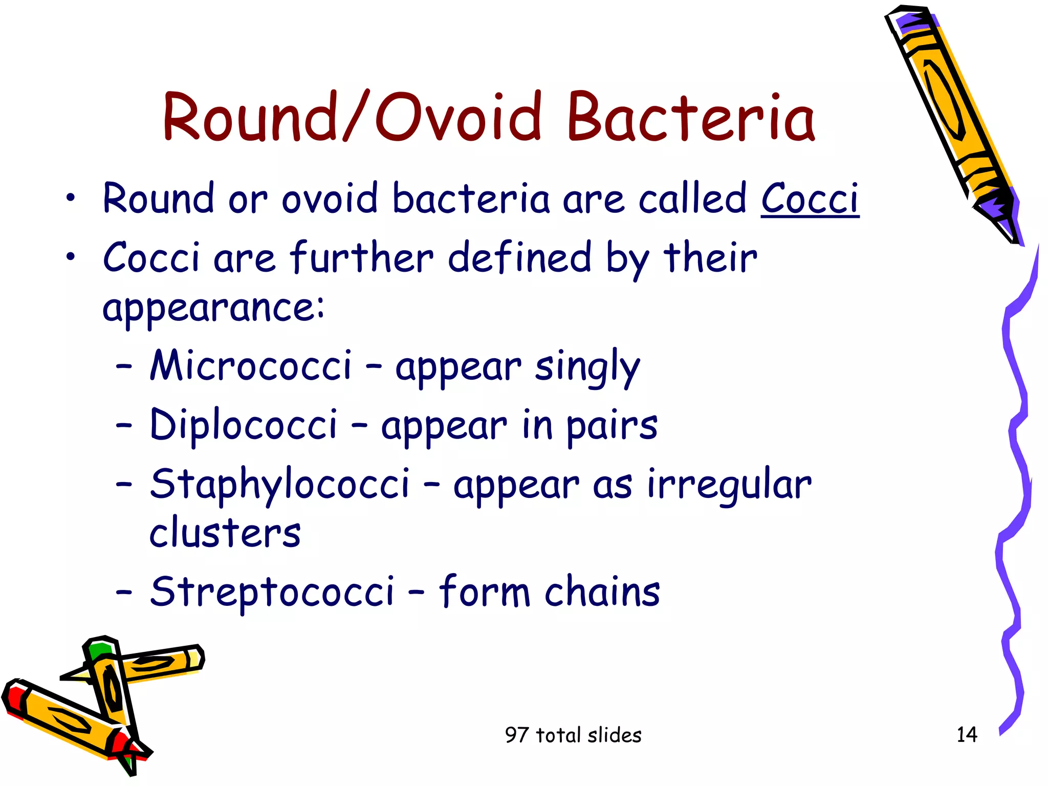 97 total slides 14
Round/Ovoid Bacteria
• Round or ovoid bacteria are called Cocci
• Cocci are further defined by their
appearance:
– Micrococci – appear singly
– Diplococci – appear in pairs
– Staphylococci – appear as irregular
clusters
– Streptococci – form chains
 