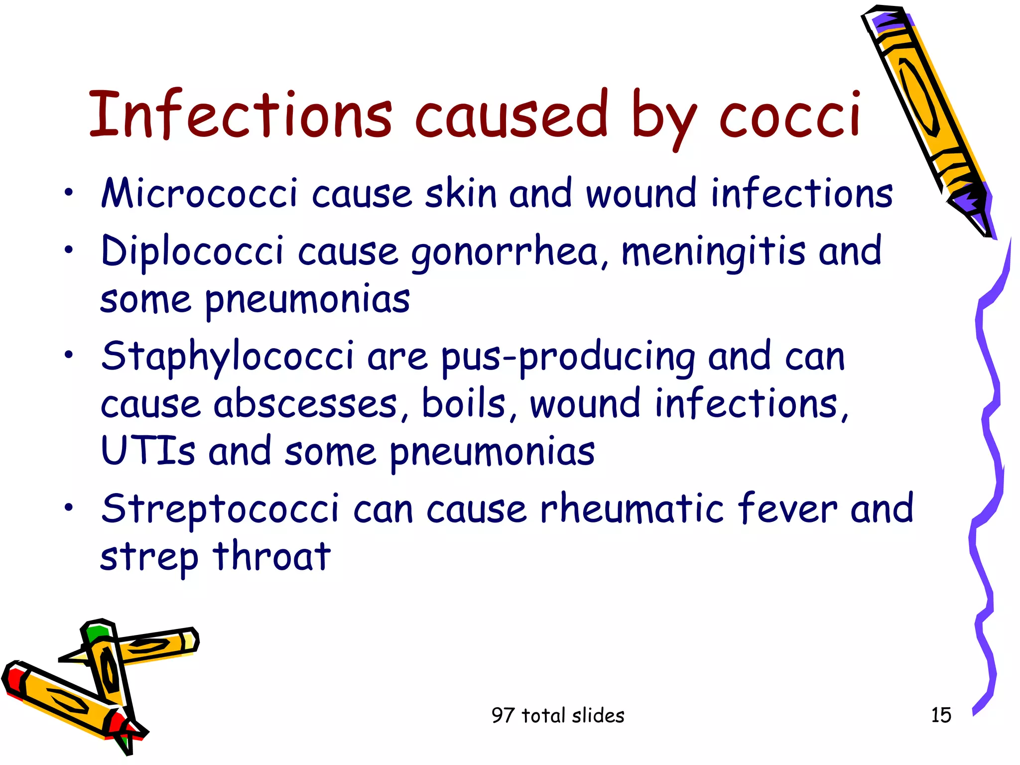 97 total slides 15
Infections caused by cocci
• Micrococci cause skin and wound infections
• Diplococci cause gonorrhea, meningitis and
some pneumonias
• Staphylococci are pus-producing and can
cause abscesses, boils, wound infections,
UTIs and some pneumonias
• Streptococci can cause rheumatic fever and
strep throat
 