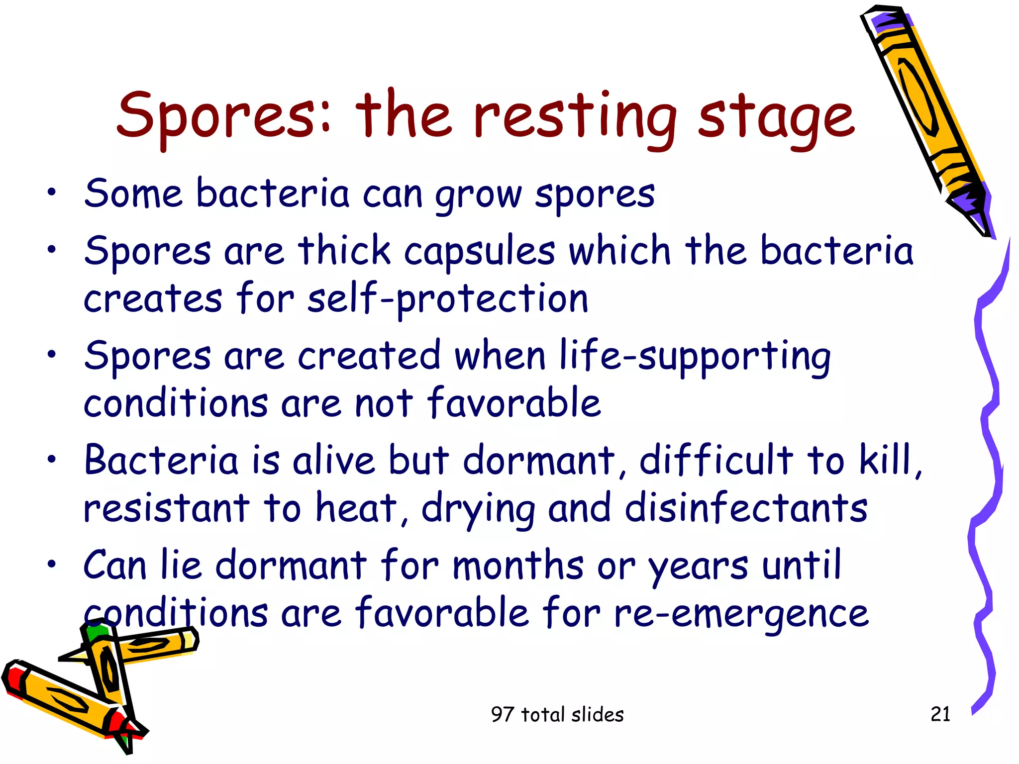 97 total slides 21
Spores: the resting stage
• Some bacteria can grow spores
• Spores are thick capsules which the bacteria
creates for self-protection
• Spores are created when life-supporting
conditions are not favorable
• Bacteria is alive but dormant, difficult to kill,
resistant to heat, drying and disinfectants
• Can lie dormant for months or years until
conditions are favorable for re-emergence
 