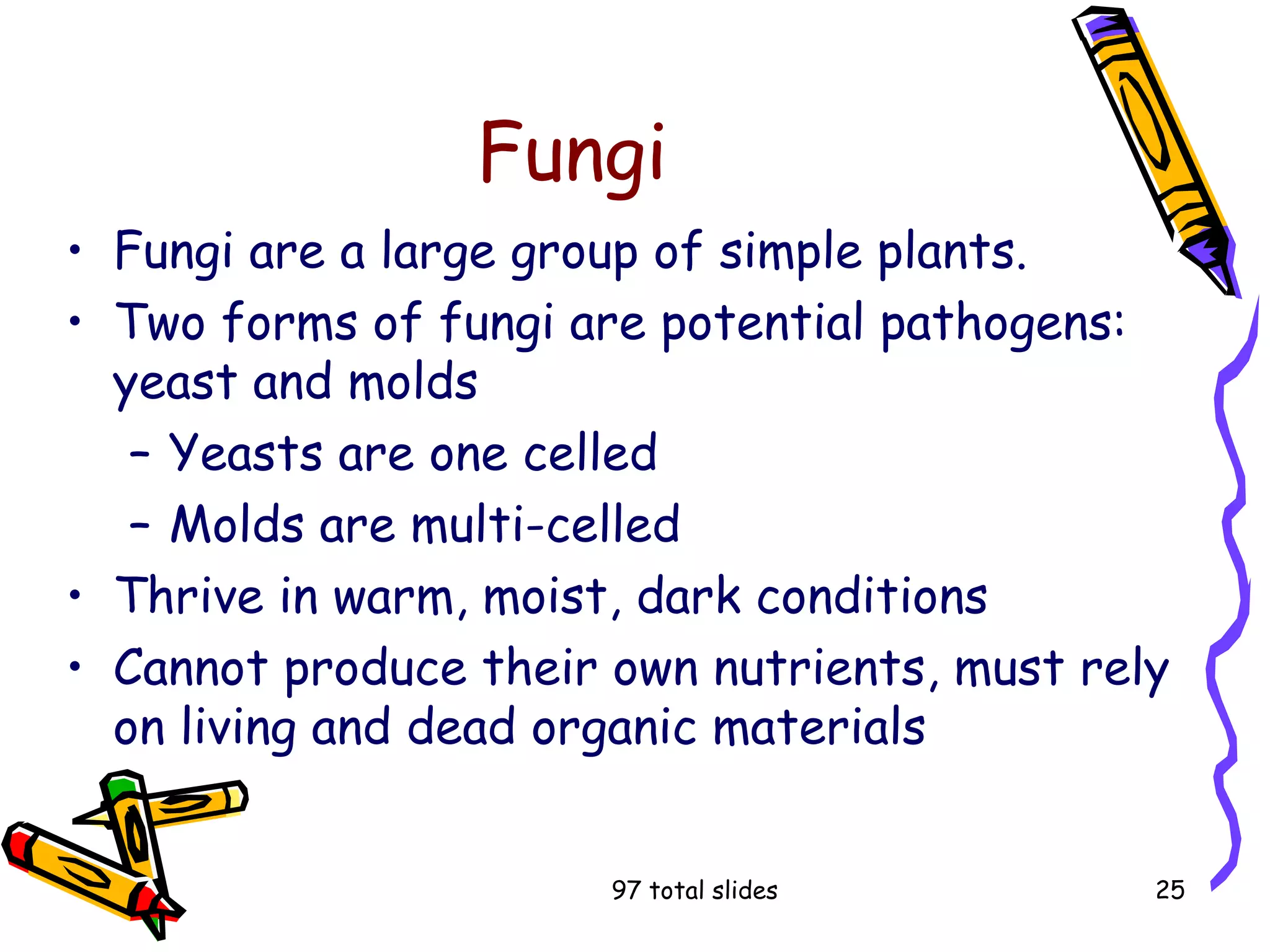 97 total slides 25
Fungi
• Fungi are a large group of simple plants.
• Two forms of fungi are potential pathogens:
yeast and molds
– Yeasts are one celled
– Molds are multi-celled
• Thrive in warm, moist, dark conditions
• Cannot produce their own nutrients, must rely
on living and dead organic materials
 