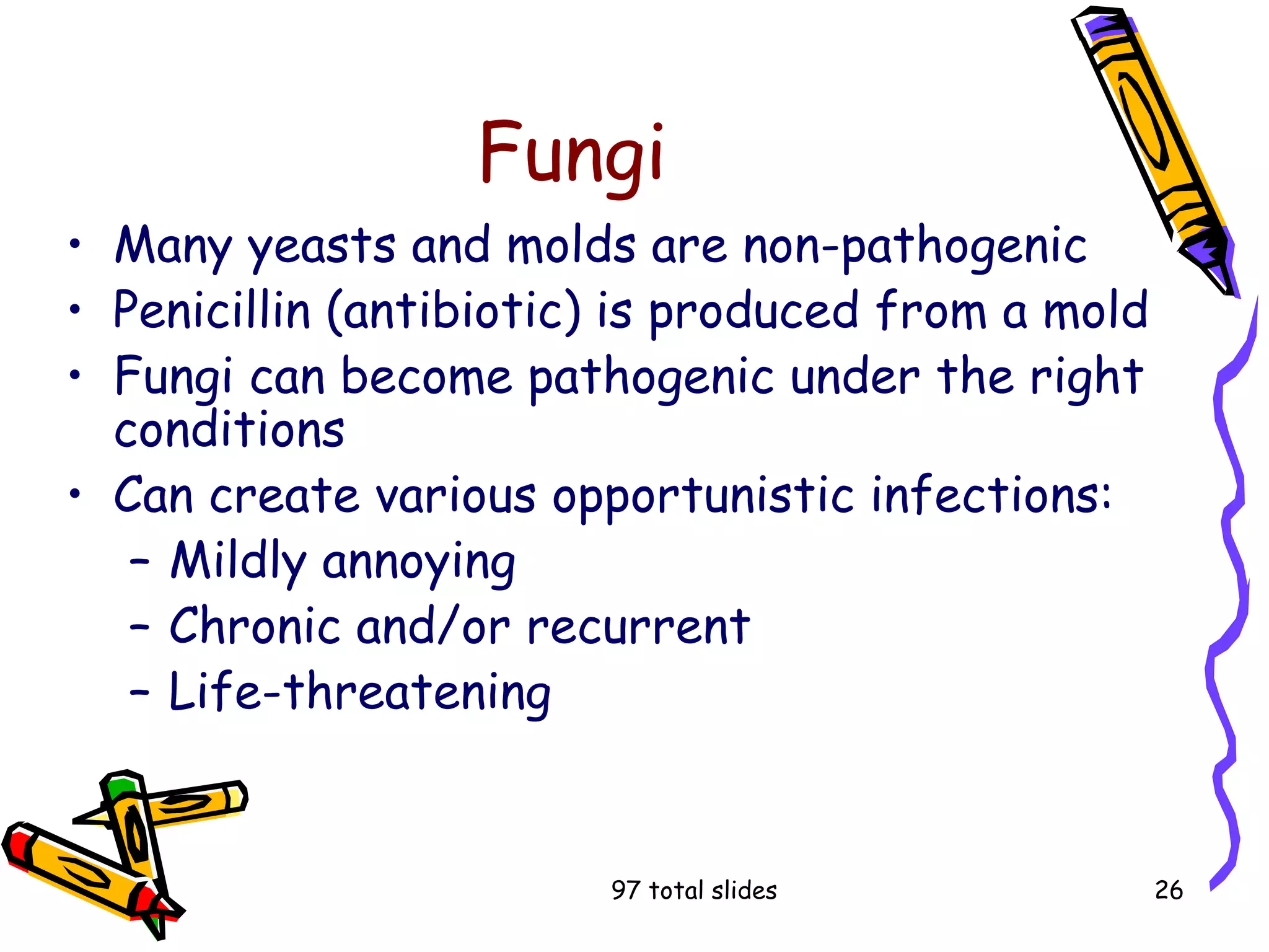 97 total slides 26
Fungi
• Many yeasts and molds are non-pathogenic
• Penicillin (antibiotic) is produced from a mold
• Fungi can become pathogenic under the right
conditions
• Can create various opportunistic infections:
– Mildly annoying
– Chronic and/or recurrent
– Life-threatening
 