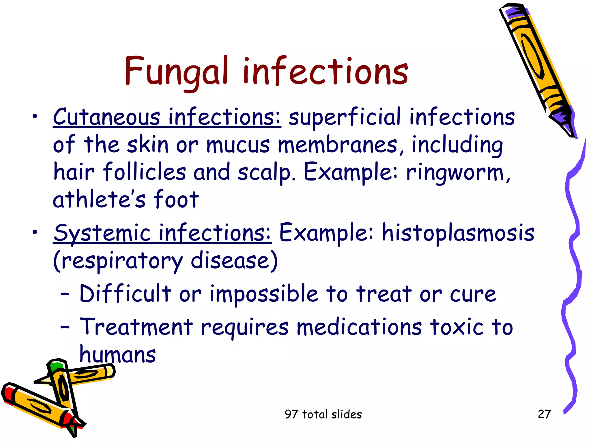 97 total slides 27
Fungal infections
• Cutaneous infections: superficial infections
of the skin or mucus membranes, including
hair follicles and scalp. Example: ringworm,
athlete’s foot
• Systemic infections: Example: histoplasmosis
(respiratory disease)
– Difficult or impossible to treat or cure
– Treatment requires medications toxic to
humans
 
