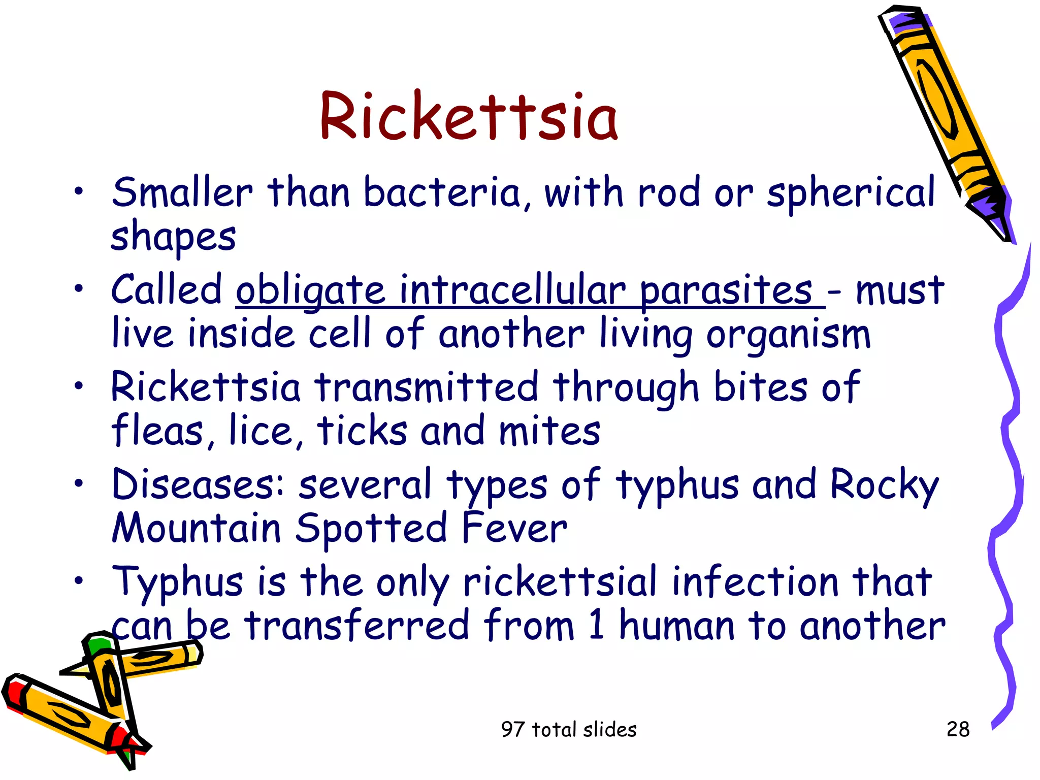 97 total slides 28
Rickettsia
• Smaller than bacteria, with rod or spherical
shapes
• Called obligate intracellular parasites - must
live inside cell of another living organism
• Rickettsia transmitted through bites of
fleas, lice, ticks and mites
• Diseases: several types of typhus and Rocky
Mountain Spotted Fever
• Typhus is the only rickettsial infection that
can be transferred from 1 human to another
 