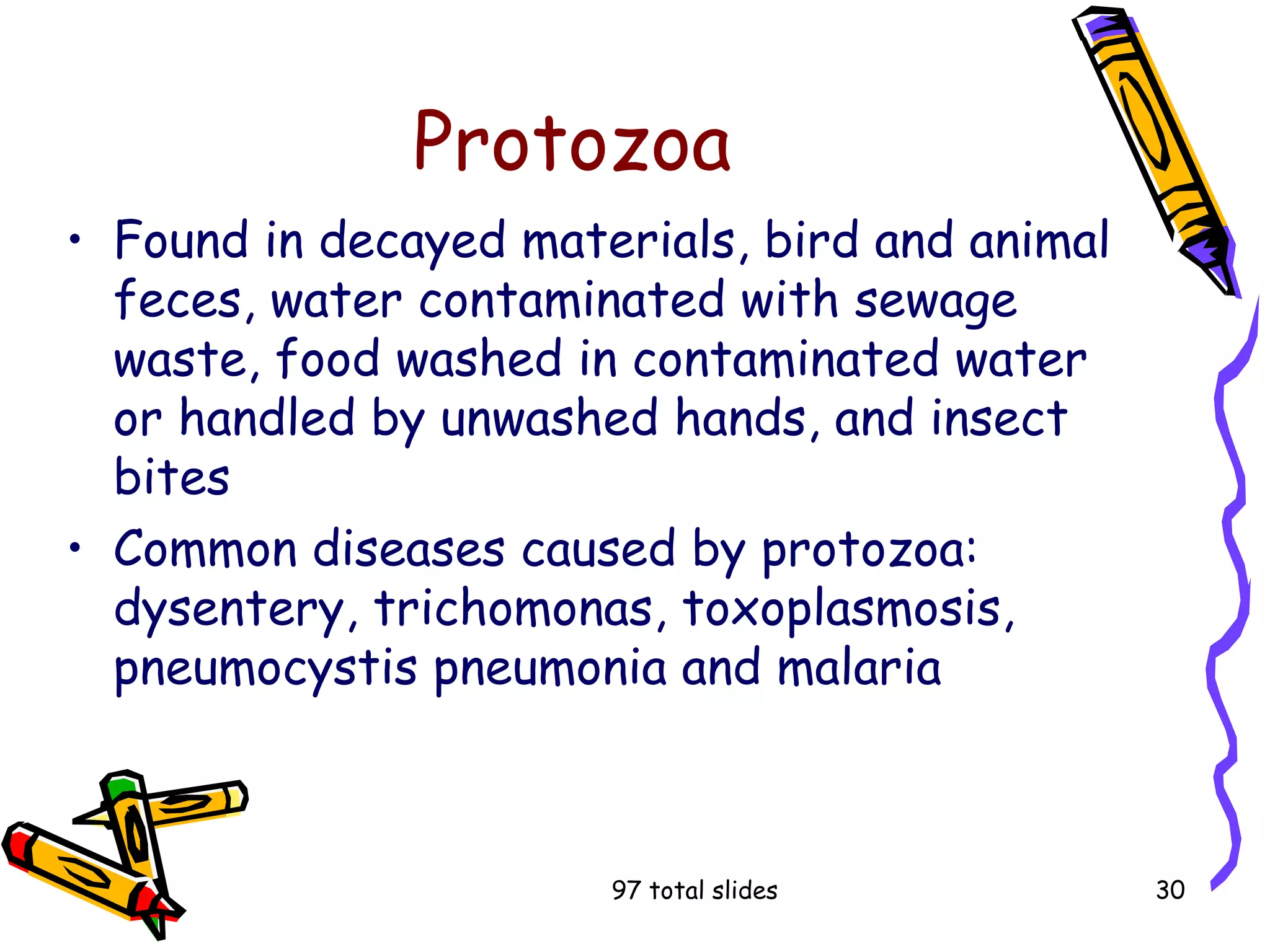 97 total slides 30
Protozoa
• Found in decayed materials, bird and animal
feces, water contaminated with sewage
waste, food washed in contaminated water
or handled by unwashed hands, and insect
bites
• Common diseases caused by protozoa:
dysentery, trichomonas, toxoplasmosis,
pneumocystis pneumonia and malaria
 