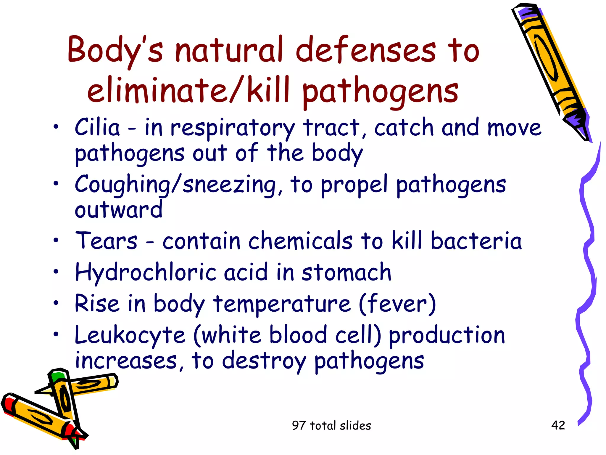97 total slides 42
Body’s natural defenses to
eliminate/kill pathogens
• Cilia - in respiratory tract, catch and move
pathogens out of the body
• Coughing/sneezing, to propel pathogens
outward
• Tears - contain chemicals to kill bacteria
• Hydrochloric acid in stomach
• Rise in body temperature (fever)
• Leukocyte (white blood cell) production
increases, to destroy pathogens
 
