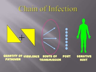 Route of transmissionPort Quantity ofpathogenVirulenceChain of Infection+Sensitivehost