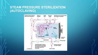 STEAM PRESSURE STERILIZATION
(AUTOCLAVING)

 