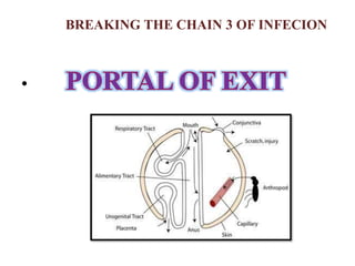 BREAKING THE CHAIN 3 OF INFECION
•
 