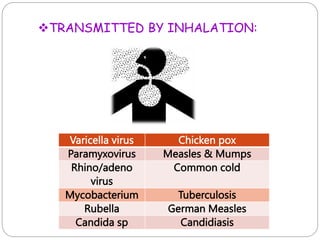 TRANSMITTED BY INHALATION:
Varicella virus Chicken pox
Paramyxovirus Measles & Mumps
Rhino/adeno
virus
Common cold
Mycobacterium Tuberculosis
Rubella German Measles
Candida sp Candidiasis
 