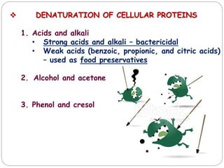  DENATURATION OF CELLULAR PROTEINS
1. Acids and alkali
• Strong acids and alkali – bactericidal
• Weak acids (benzoic, propionic, and citric acids)
– used as food preservatives
2. Alcohol and acetone
3. Phenol and cresol
 