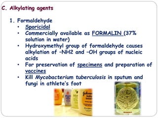 C. Alkylating agents
1. Formaldehyde
• Sporicidal
• Commercially available as FORMALIN (37%
solution in water)
• Hydroxymethyl group of formaldehyde causes
alkylation of –NH2 and –OH groups of nucleic
acids
• For preservation of specimens and preparation of
vaccines
• Kill Mycobacterium tuberculosis in sputum and
fungi in athlete’s foot
 