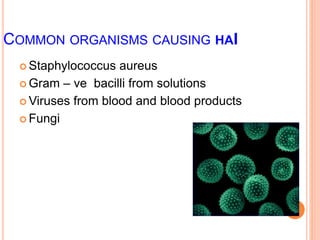 COMMON ORGANISMS CAUSING HAI
 Staphylococcus aureus
 Gram – ve bacilli from solutions
 Viruses from blood and blood products
 Fungi
 