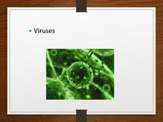  Viruses
 