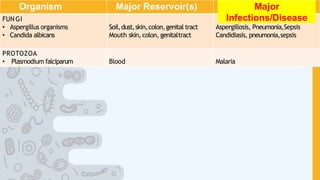 Organism Major Reservoir(s) Major
Infections/Disease
FUNGI
• Aspergillus organisms
• Candida albicans
Soil,dust,skin,colon,genital tract
Mouth skin, colon, genitaltract
Aspergillosis, Pneumonia,Sepsis
Candidiasis, pneumonia,sepsis
PROTOZOA
• Plasmodium falciparum Blood Malaria
 