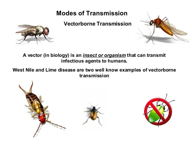 ONTAP - Infection Control 2