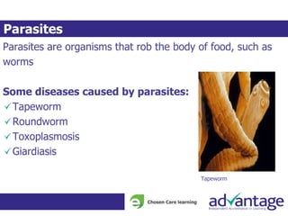 Parasites are organisms that rob the body of food, such as
worms
Some diseases caused by parasites:
Tapeworm
Roundworm
Toxoplasmosis
Giardiasis
Tapeworm
Parasites
 
