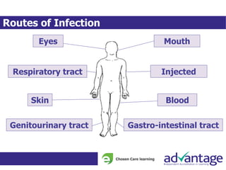 Routes of Infection
Gastro-intestinal tractGenitourinary tract
BloodSkin
InjectedRespiratory tract
MouthEyes
 