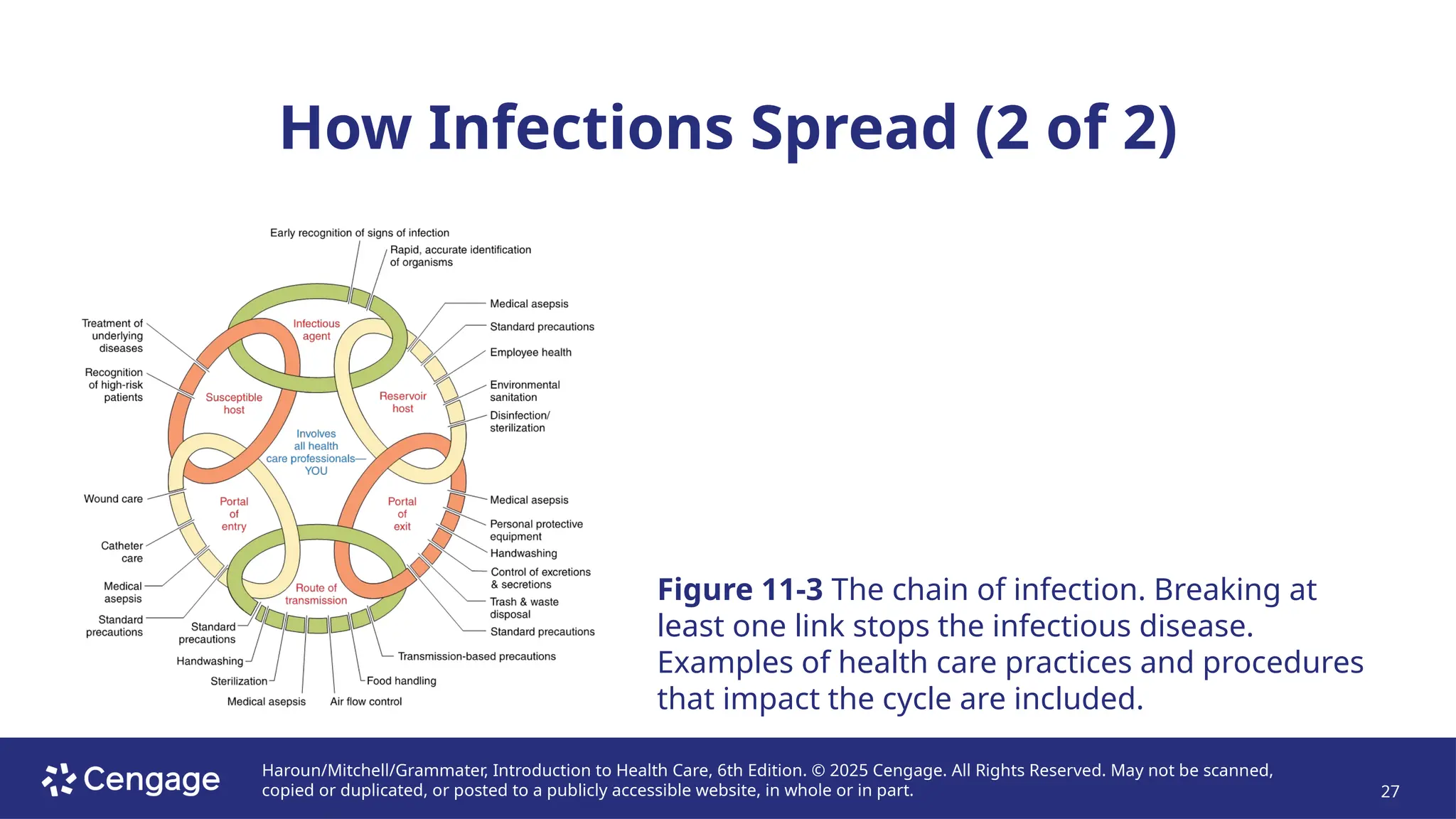 Haroun/Mitchell/Grammater, Introduction to Health Care, 6th Edition. © 2025 Cengage. All Rights Reserved. May not be scanned,
copied or duplicated, or posted to a publicly accessible website, in whole or in part. 27
How Infections Spread (2 of 2)
Figure 11-3 The chain of infection. Breaking at
least one link stops the infectious disease.
Examples of health care practices and procedures
that impact the cycle are included.
 