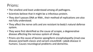Prions:
• The smallest and least understood among all pathogens.
• Scientists believe that it might be a infectious protein.
• They don’t posses DNA or RNA , their method of replications are also
not fully understood.
• They affect the nerve cells and are resistant to body’s natural defense
system.
• They were first identified as the cause of scrapie, a degenerative
disease affecting the nervous system of sheep.
• Prions are the cause of bovine spongiform encephalopathy (mad cow
disease.)and both classic and variant creutzfeldt –jakob disease in
humans. Causes neurological problems and dementia.
 